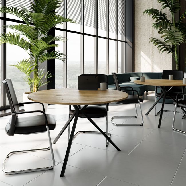 ART Besprechungstisch | Rund, Ø 1200 mm, Wildeiche-Dunkelgrau ART Besprechungstisch | Rund, Ø 1200 mm, Wildeiche-Dunkelgrau