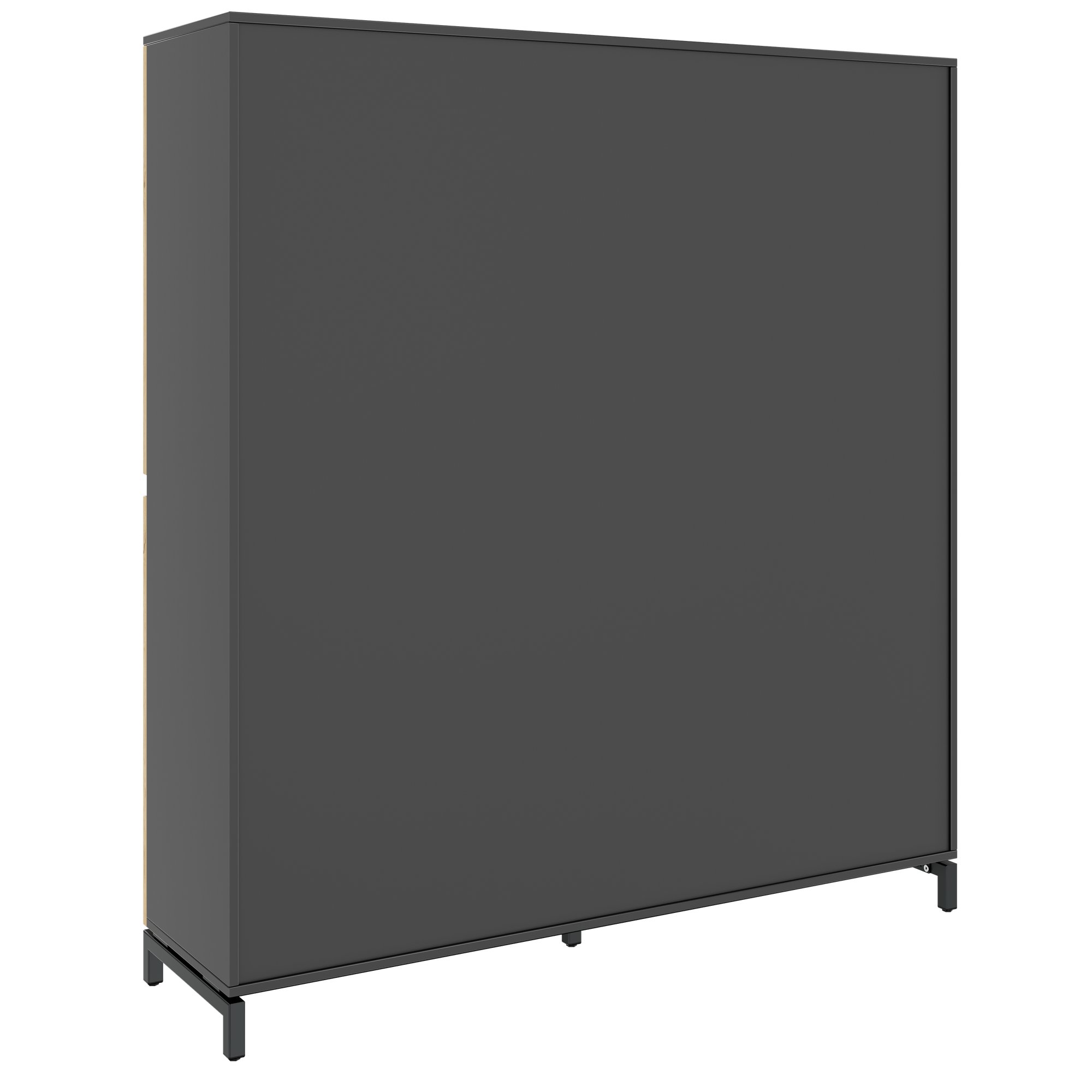ART Classeur | 4 oh, 1600 x 1760 mm, chêne sauvage gris foncé - 4 Main Image