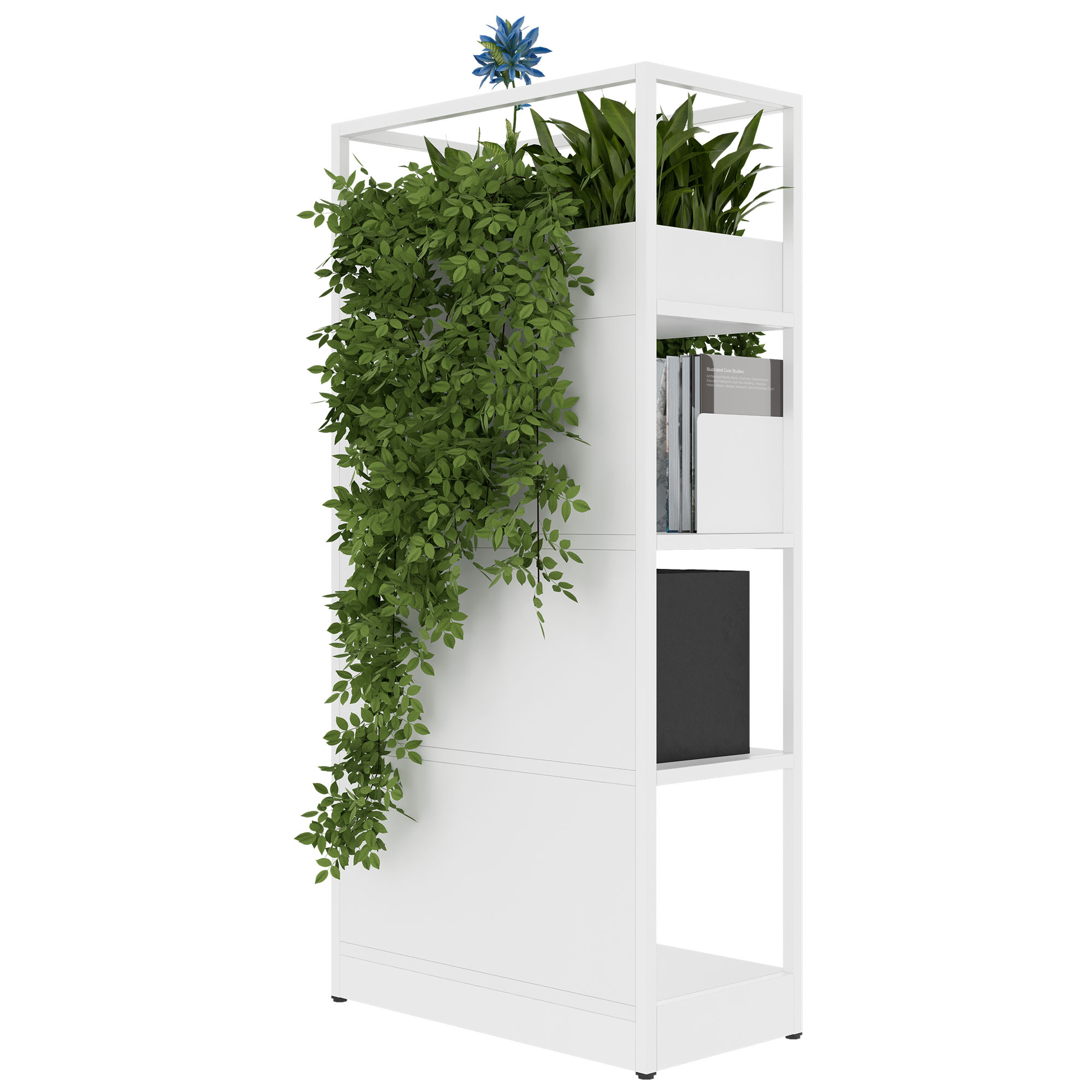 ATELLA Armoire d'étagère | 4 oh, 800 x 1610 mm, blanc - 4 Main Image