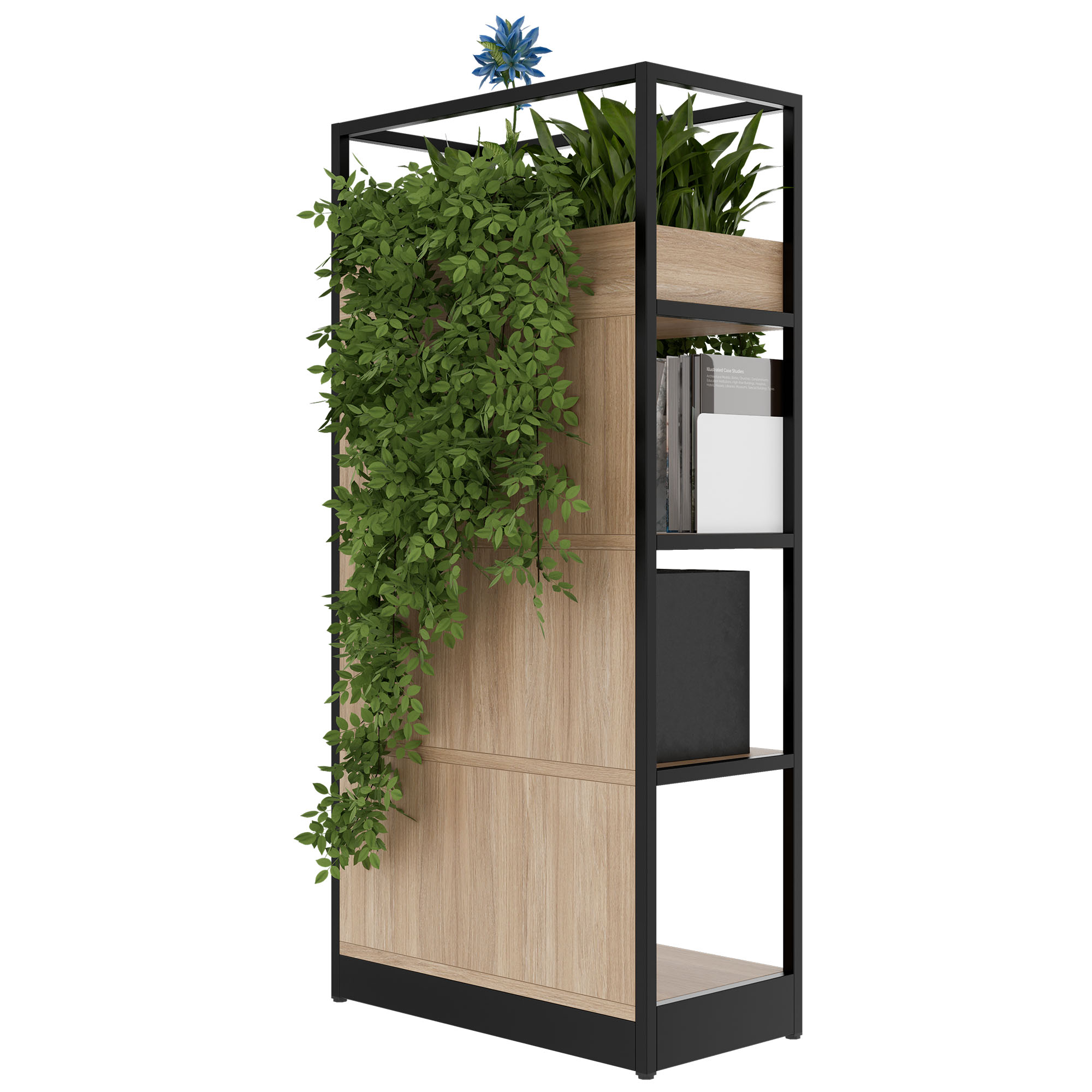 ATELLA Regalschrank | 4 OH, 800 x 1610 mm, Bernsteineiche - 4 Main Image