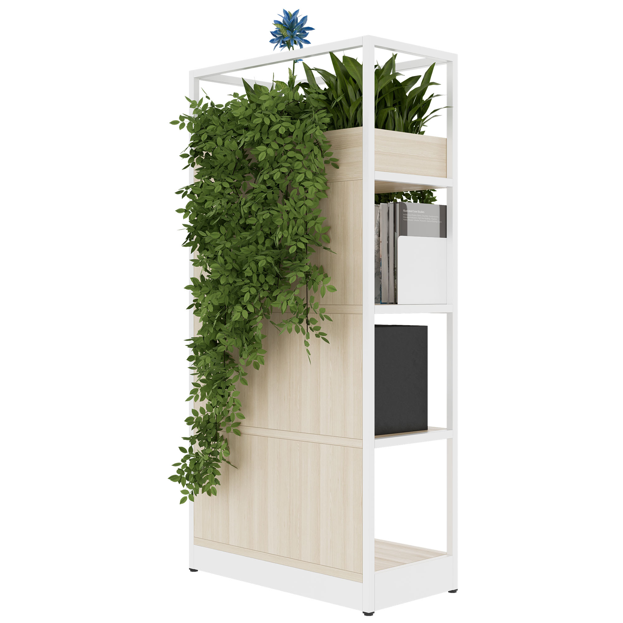 ATELLA shelf cabinet | 4 OH, 800 x 1610 mm, sand ash - 4 Main Image
