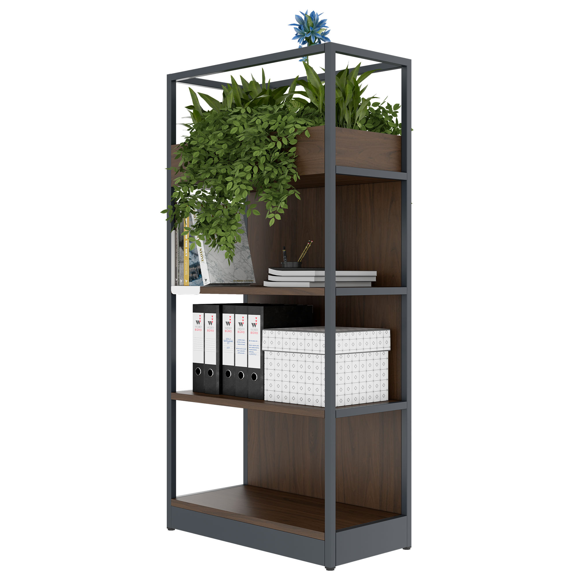 ATELLA shelf cabinet | 4 OH, 800 x 1610 mm, walnut - 3 Main Image