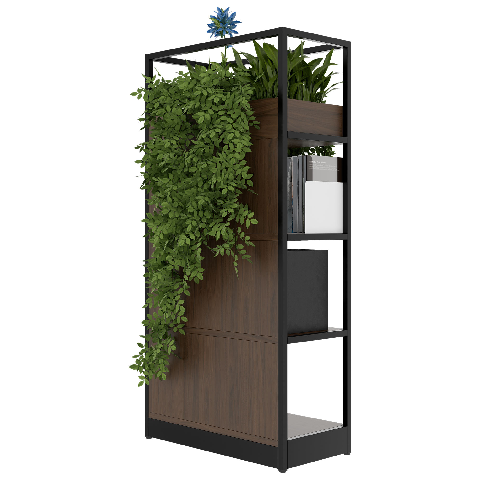 ATELLA Shelving unit | 4 OH, 800 x 1610 mm, walnut - 4 Main Image