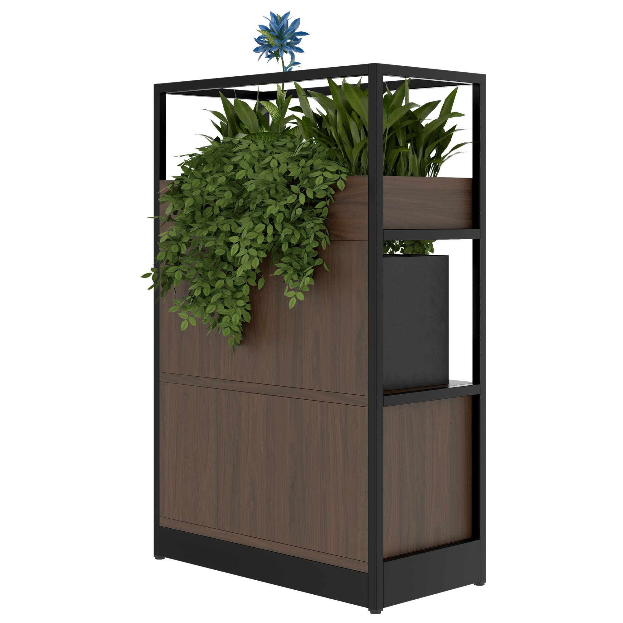 ATELLA Shelving unit | 3 SH, 800 x 1255 mm, walnut - 4 Main Image