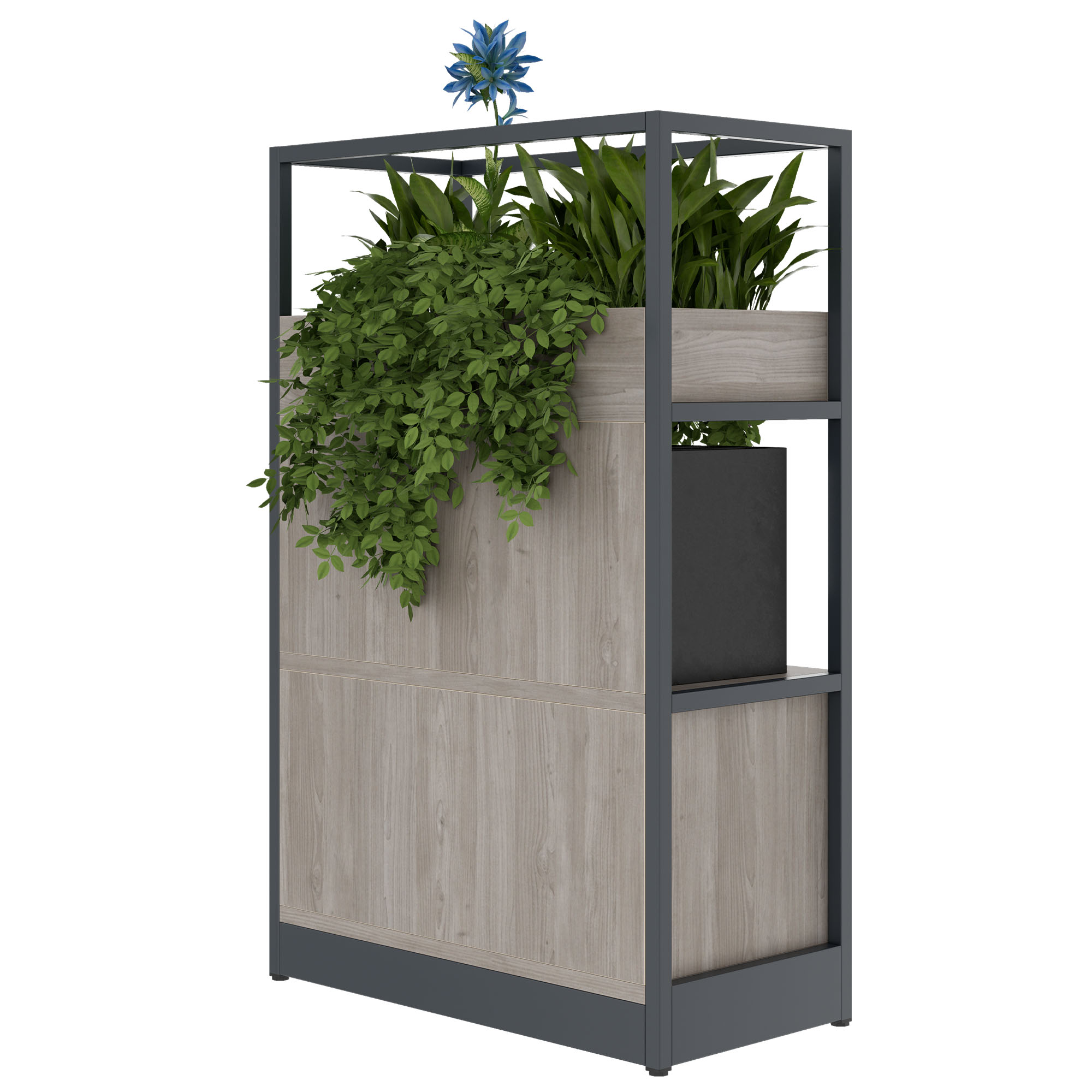 ATELLA Shelving unit | 3 SH, 800 x 1255 mm, North oak gray - 4 Main Image