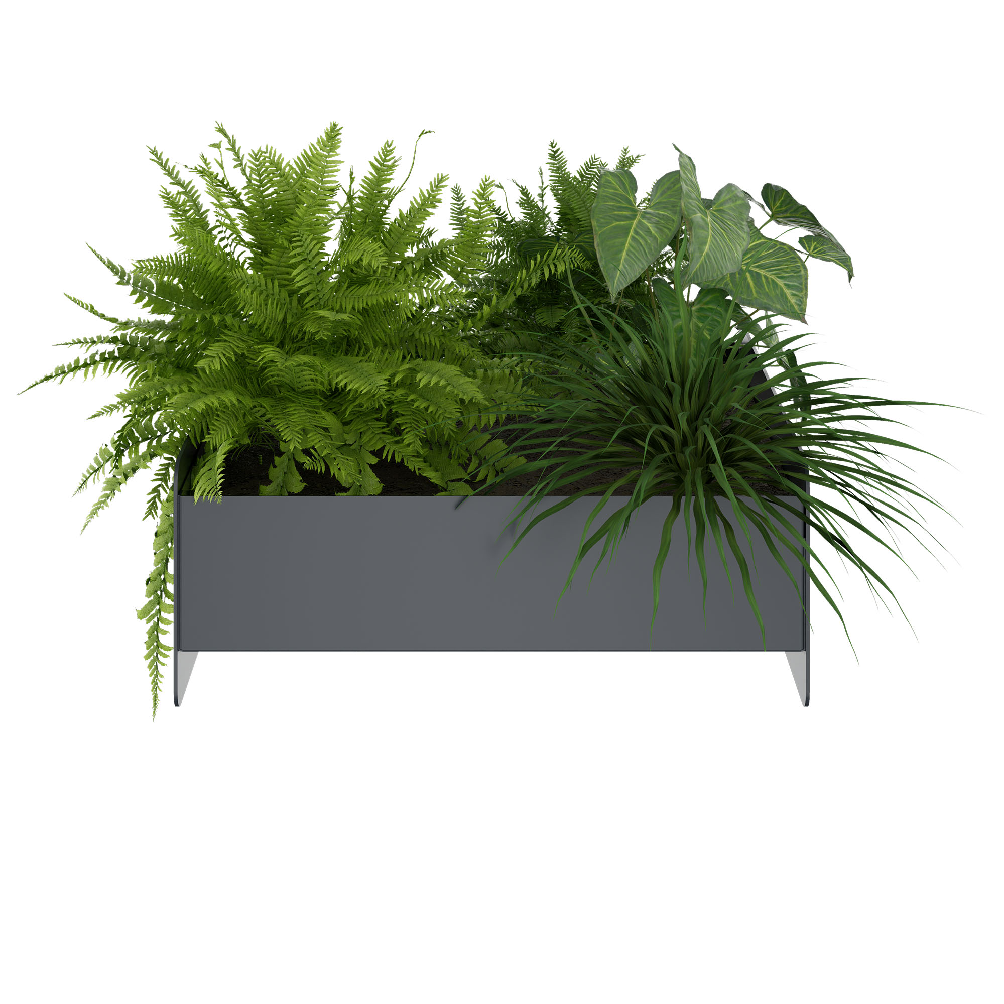 ATELLA flower box | 360 x 160 mm, metal - 2 Main Image