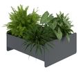 ATELLA flower box | 360 x 160 mm, metal - 1 Thumbnail Image