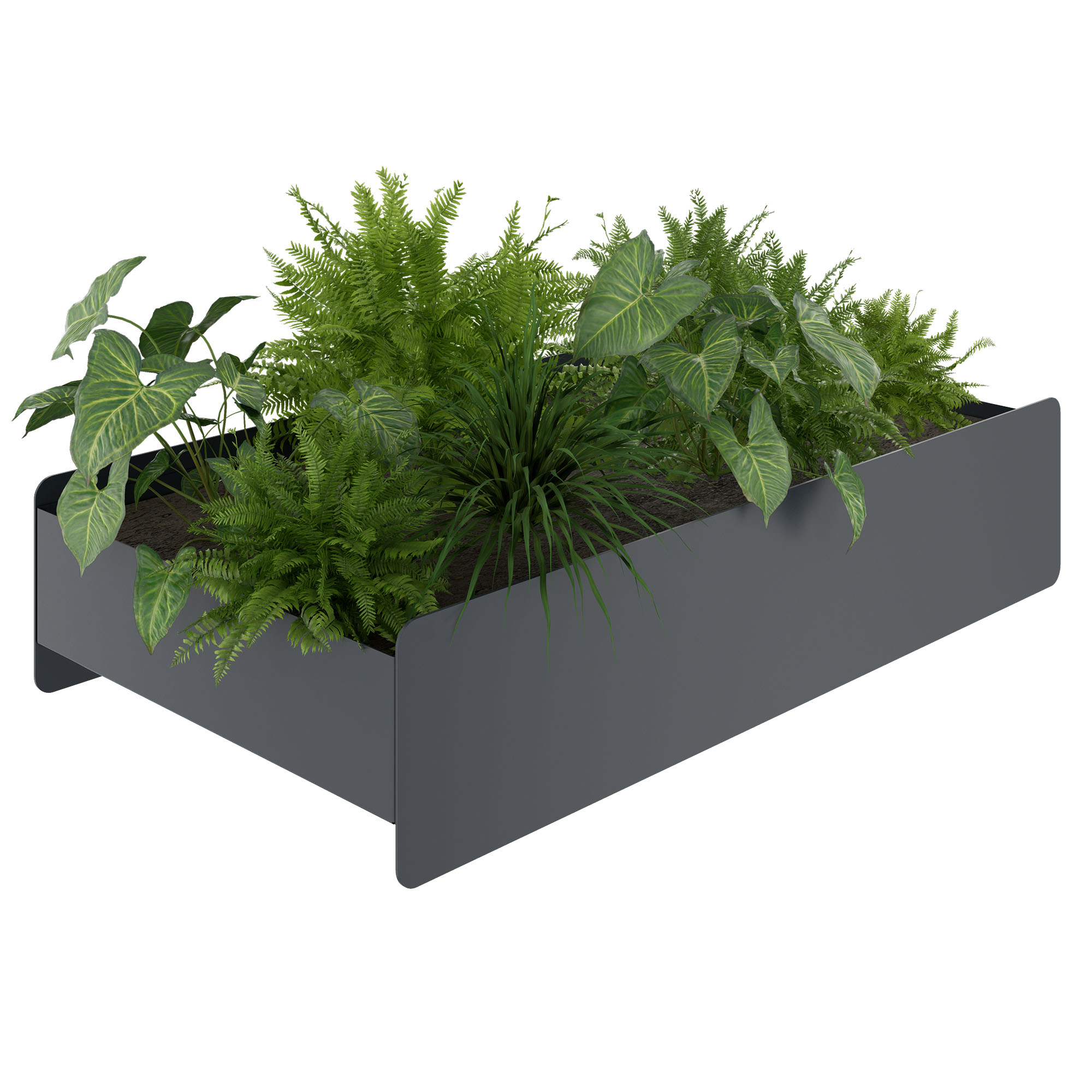 ATELLA Blumenkasten | 748 x 160 mm, Metall - 1 Main Image
