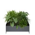 ATELLA Blumenkasten | 748 x 160 mm, Metall - 2 Thumbnail Image