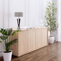NOVA Sideboard | 2 oh, 1615 x 750 mm, quercia ambra - 1 Thumbnail Image